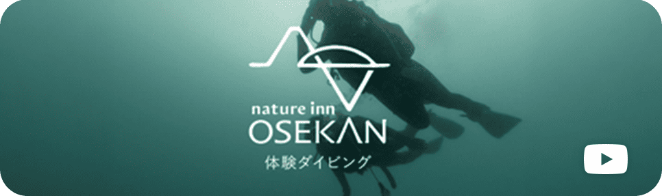 OSEKAN体験ダイビング YouTubeリンク