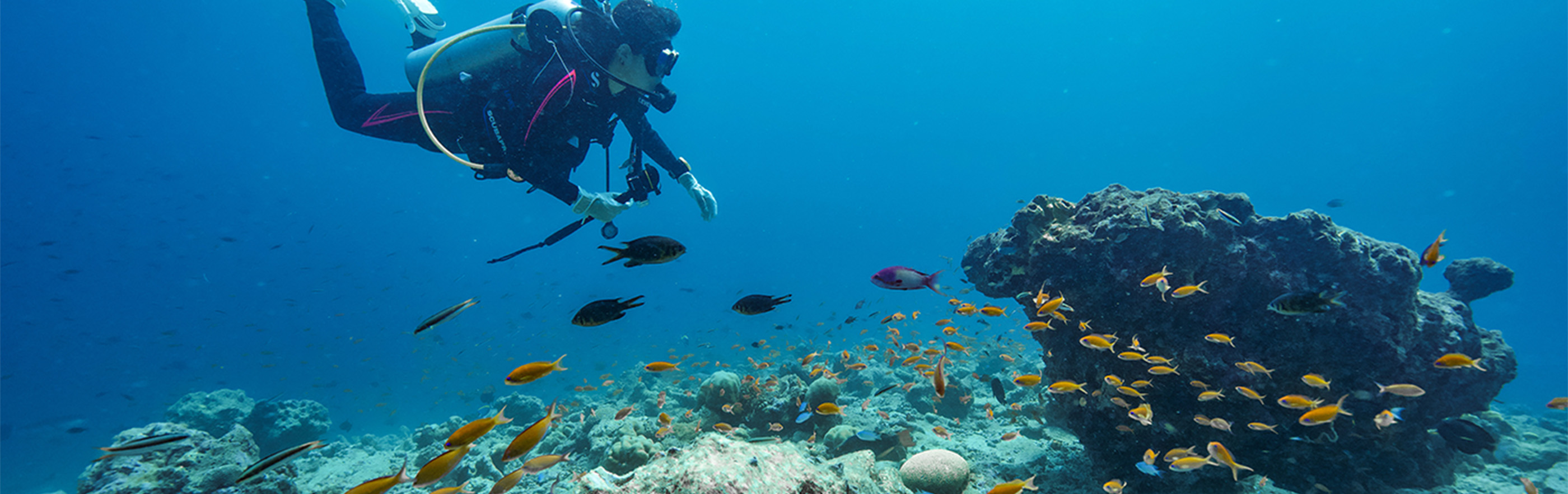 マリンサービス