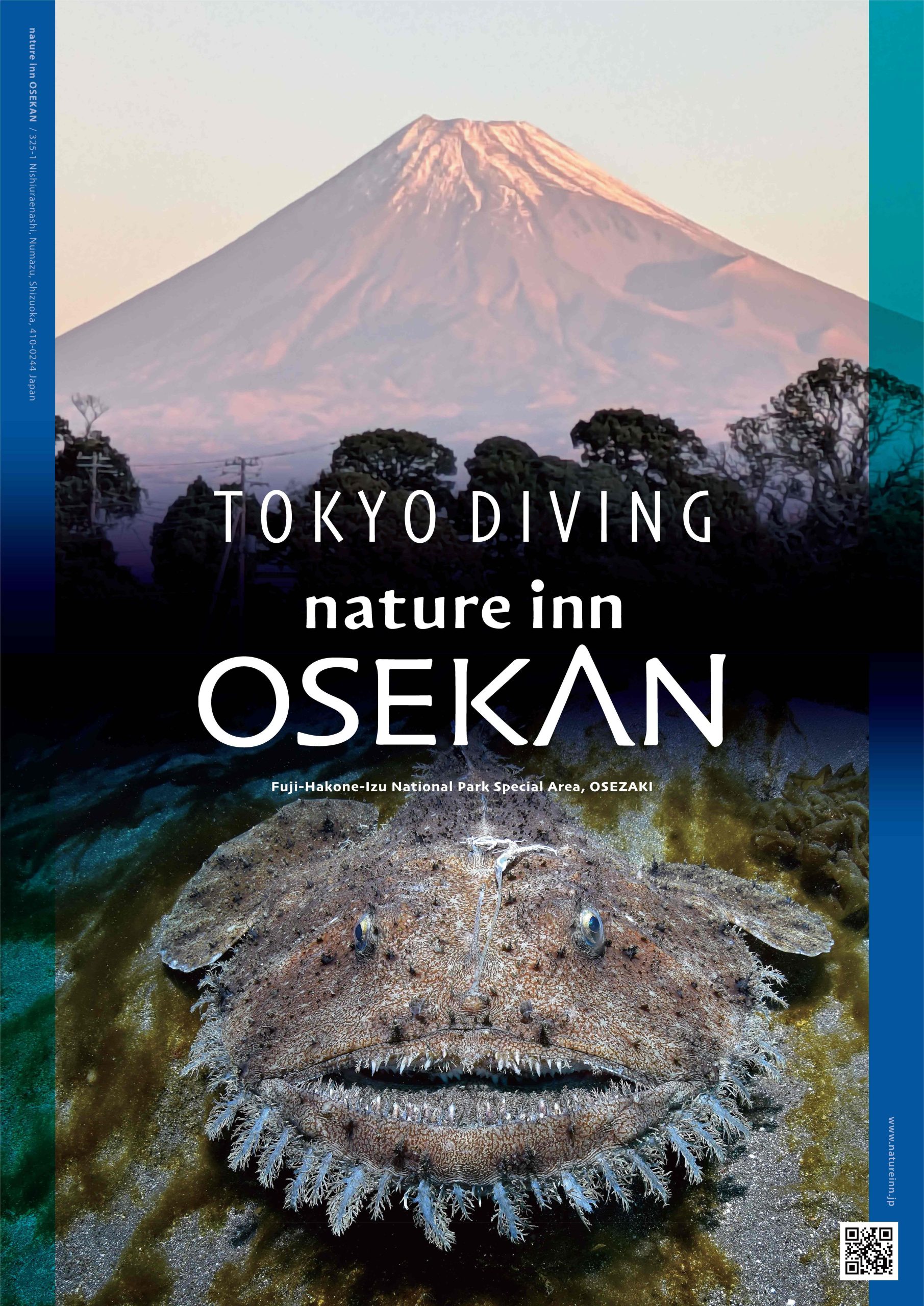 Looking for a Package? Book through Japan Airlines Vacations!!