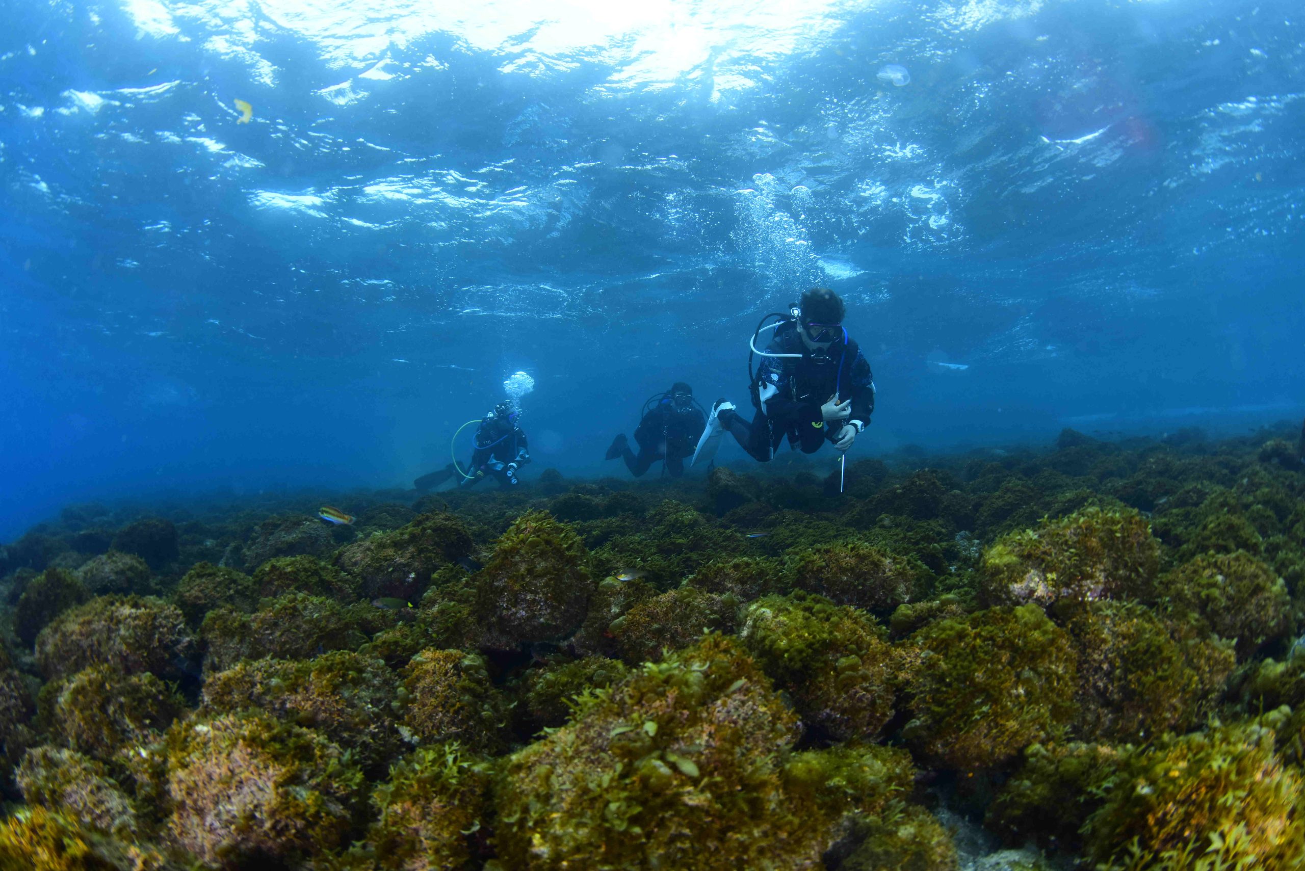 PADIアドヴァンスドオープンウォータ―取得コース