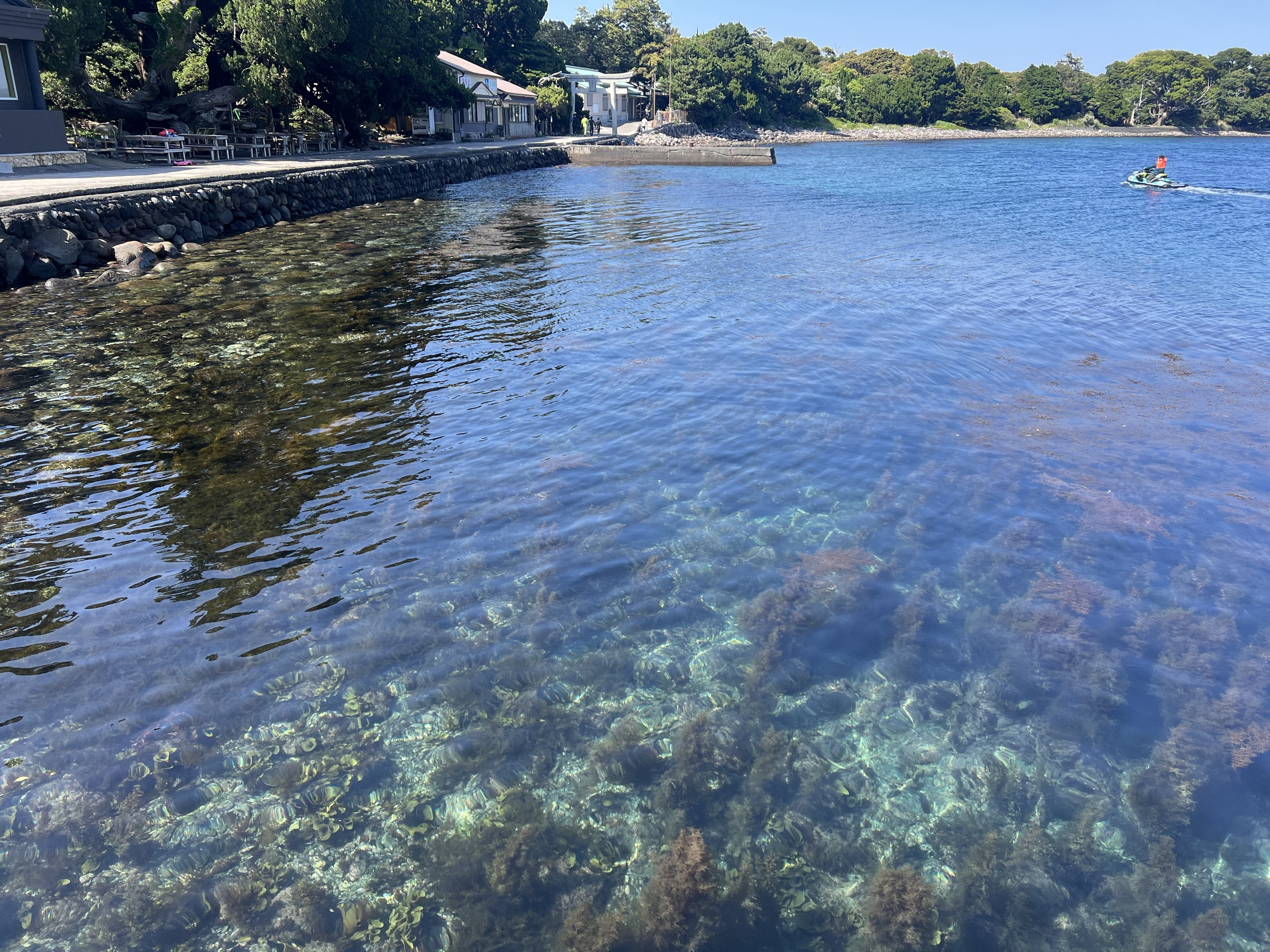 第2回「大瀬崎みらいにつなぐ債」の募集を開始しました