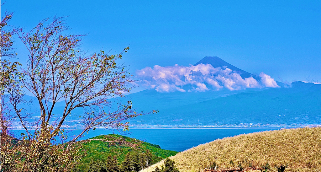 駿河湾まんなか食堂 秋メニューリニューアル! Suruga Bay Central Bistro, Autumn Menu Renewal!