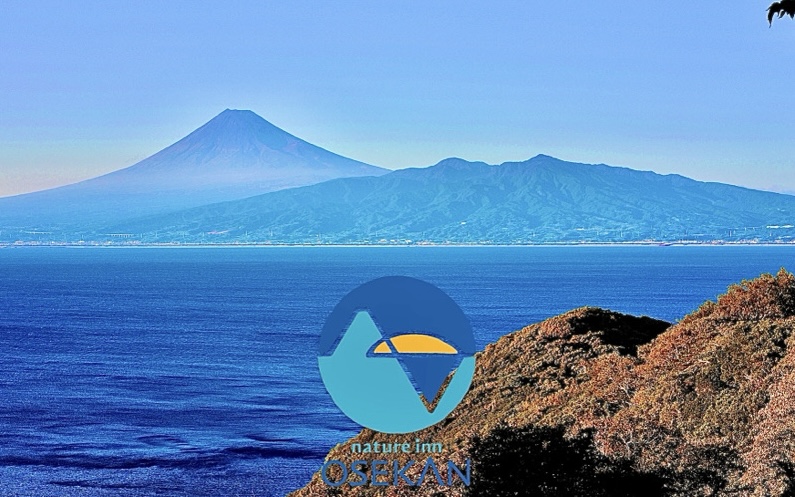 「第2回 大瀬崎みらいにつなぐ債」多くのご応募に、心より感謝申し上げます “The 2nd Osezaki Mirai Bonds” — Thank You for Your Strong Support