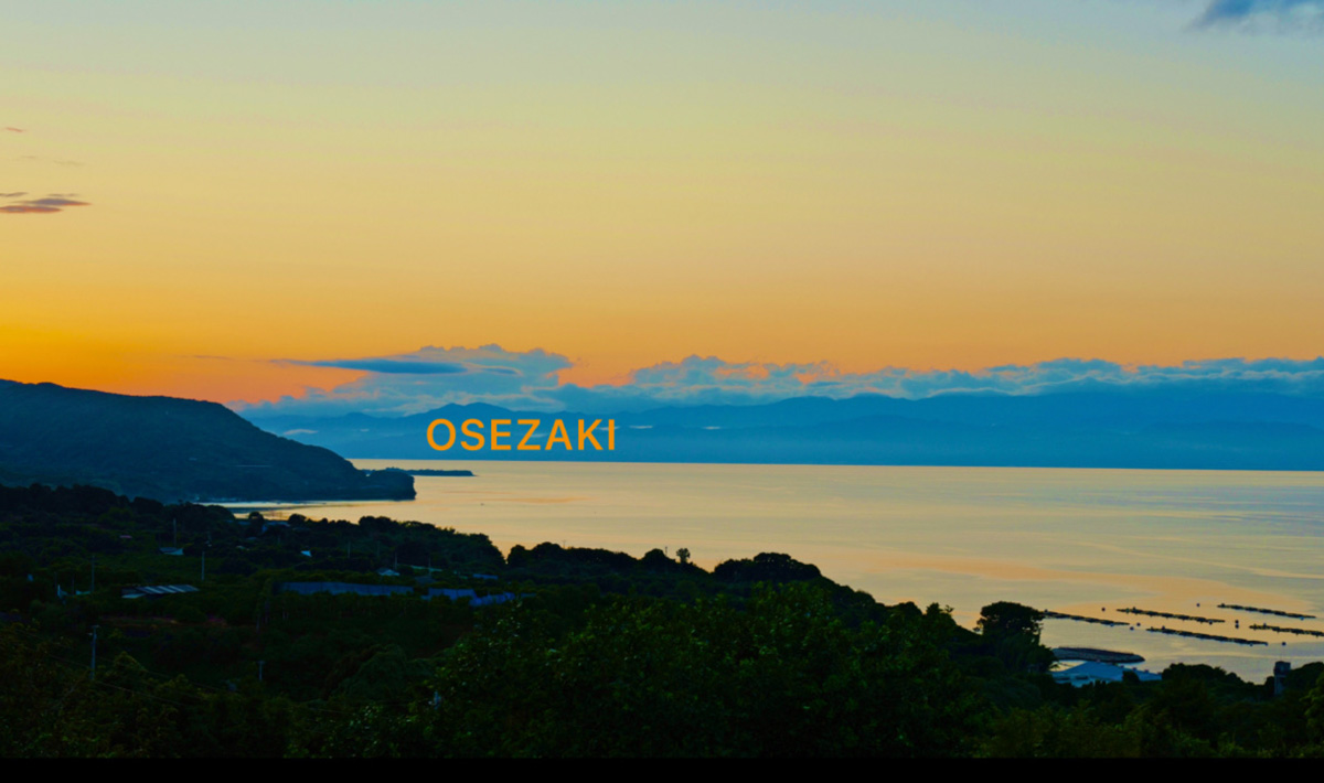 未来へ投資する旅 大瀬崎を訪れる投資家の深呼吸のひととき