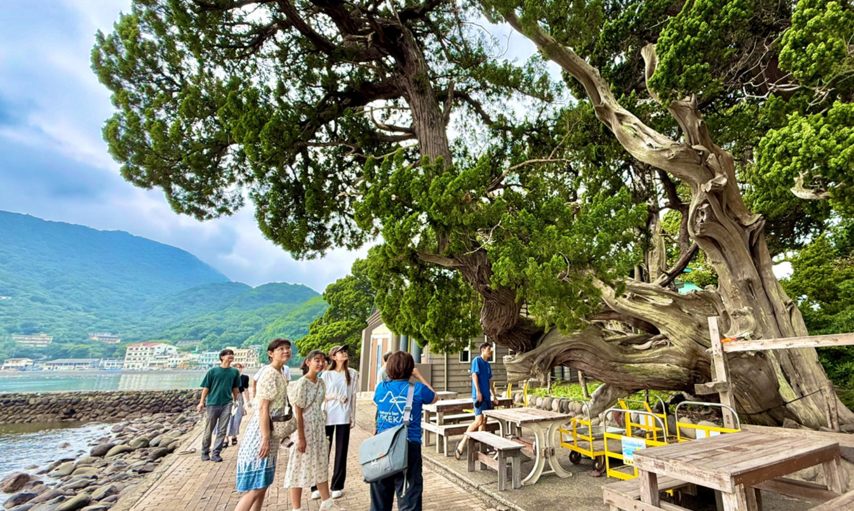 1時間の奇跡！海のアルプスを歩く、秋のネイチャーインツアー本格化