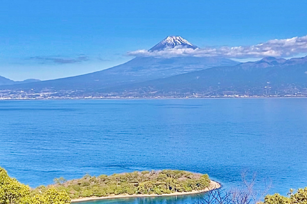 オーシャン・アルプス・パスポート発行！大瀬崎の自然を感じるガイドブック