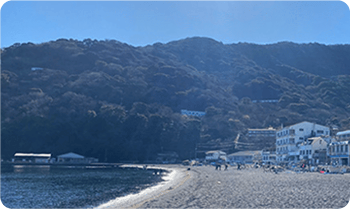 ネイチャーインの活動